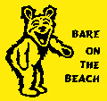 Bare on the Beach flag