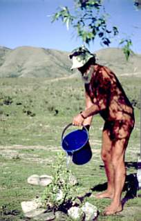 Bill - Waikuku