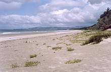 Looking south toward Pakiri Beach