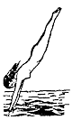 Girl diving
