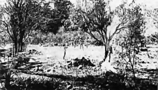 Work and play go on side by side