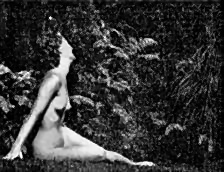 Lush growth in the bush