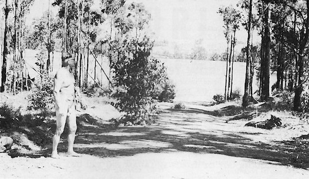 Photography: straight exposure (too bright)