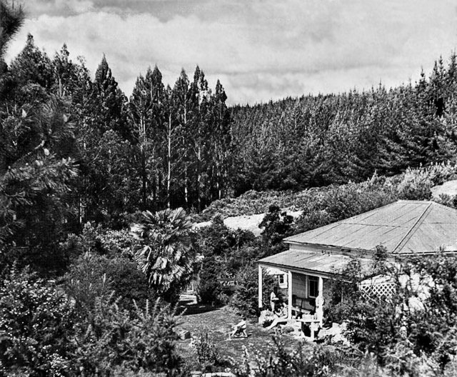 Nelson's clubhouse