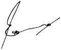 Eddie (signature)