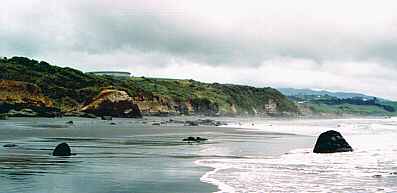 New Plymouth's Back Beach