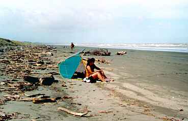 Pekapeka Beach - Te Hapua Rd end