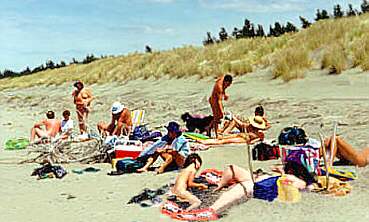 Waikuku Beach