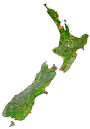 NZ Map